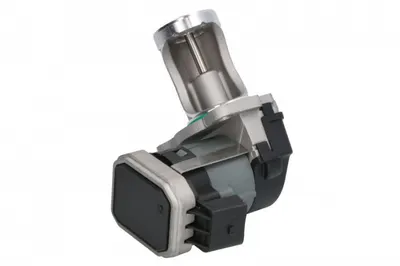 Supapa EGR (cu garnitura) potrivit SEAT ALHAMBRA; VW SHARAN 2.0D 11.05-03.10
