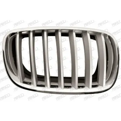 Grila radiator PRASCO BM8222013
