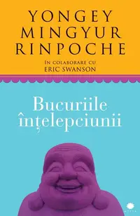 Bucuriile înţelepciunii - Paperback brosat - Eric Swanson, Yongey Mingyur Rinpoche