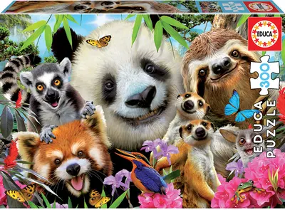 Puzzle cu 300 de piese
