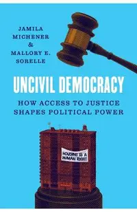 Uncivil Democracy: How Access to Justice Shapes Political Power