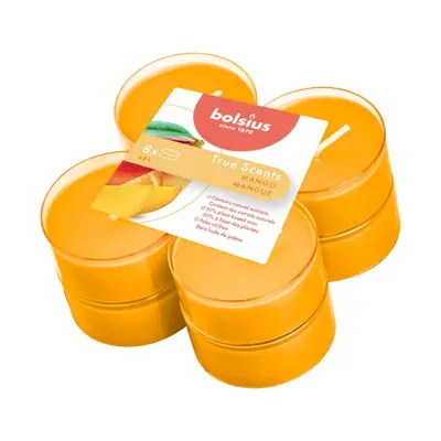 Lumanari Pastila 8h, 8 Buc, Bolsius - Mango