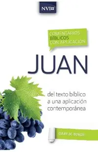 Comentario Bíblico Con Aplicación NVI Juan: del Texto Bíblico a Una Aplicación Contemporánea