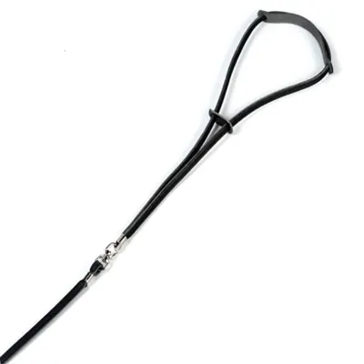 Dingo Lesa Prezentare 6 mm Negru