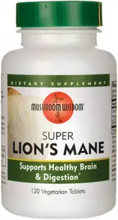 Super Lion’s Mane, 120 tablete, Mushroom Wisdom