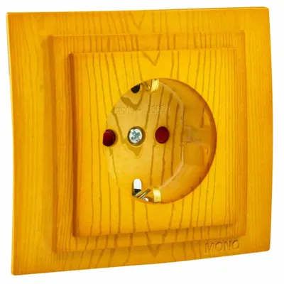 LARISSA Priza ST cu CP cu protectie copii clips STEJAR