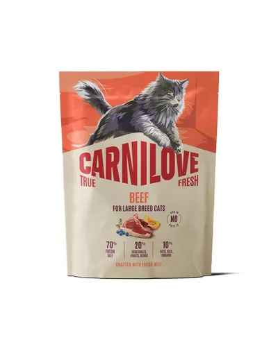 Hrană pisici talie mare CARNILOVE True Fresh Beef 400 g cu vită