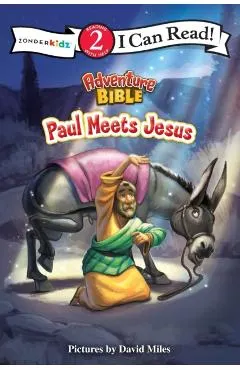 Paul Meets Jesus Softcover