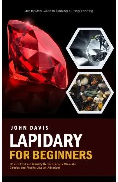 Lapidary for Beginners: Step by Step Guide to Tumbling, Cutting, Faceting (How to Find and Identify Gems Precious Minerals Geodes and Fossils