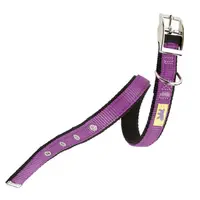 Ferplast Zgarda Dual CF20/43 Violet