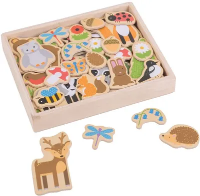 Set magneti din lemn Bigjigs - Padure, in cutie din lemn