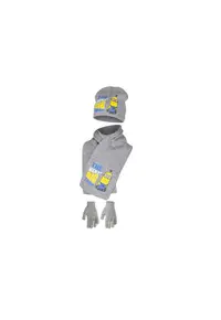 Set HO4248 - Gri