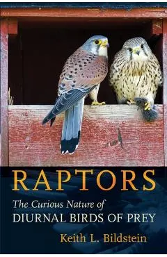 Raptors: The Curious Nature of Diurnal Birds of Prey
