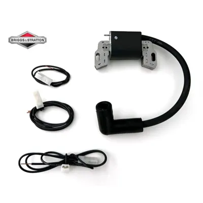 Aprindere Briggs-Stratton SERIA 450E 500E 550E