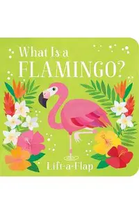 What Is a Flamingo?