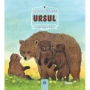 Ursul