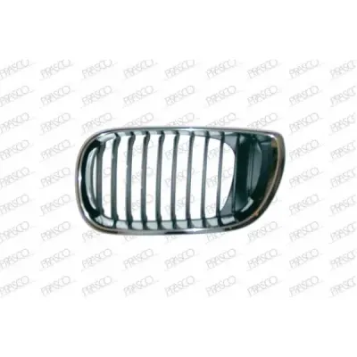 Grila radiator PRASCO BM0202004