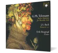 J. S. Bach, Telemann