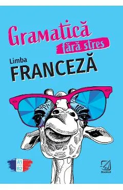 Gramatica fara stres. Limba franceza