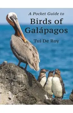 A Pocket Guide to Birds of Galápagos