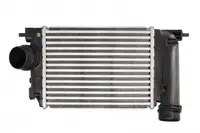 Intercooler Nissan Qashqai Ii, X-Trail; Renault Grand Scenic Iv, Kadjar, Megane Iv, Scenic Iv, Talisman 1.2-1.6 Dupa 2013