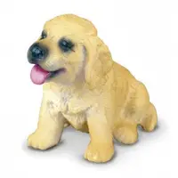Golden Retriever Pui