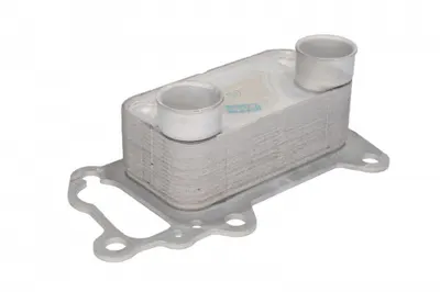 Radiator ulei termoflot potrivit BMW Seria 1 (E81), 1 (E82), 1 (E87), 1 (E88), 3 (E90), 3 (E91), 3 (E92), 3 (E93), 5 (E60), 5 (E61), X1 (E84), X3 (E83) 2.0D 06.04-06.15
