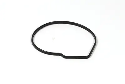 Pompa Apa Audi A3; Seat Cordoba, Ibiza Iii, Ibiza Iv; Skoda Fabia Ii, Octavia Ii, Rapid, Roomster; Vw Eos, Golf Plus, Golf V, Jetta Iii, Jetta Iv, Passat, Polo, Touran 1.6 1.6lpg Dupa 2003