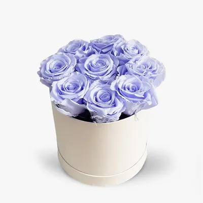 Cutie cu 9 trandafiri lavanda, criogenati