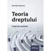Teoria dreptului. Caiet de seminar