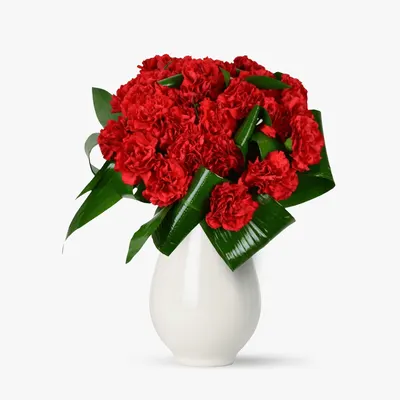 Buchet de 29 garoafe rosii