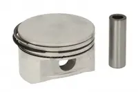 Piston 79 (std) Potrivit Opel Astra G, Astra G Classic, Combo Tour, Combo Minivan, Corsa C, Meriva A, Vectra B, Vectra C, Vectra C Gts, Zafira a 1.6 1.6lpg 10.95-