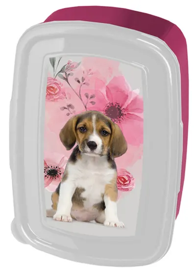 Cutie pentru mâncare Paso Dog