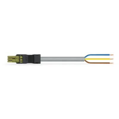 pre-assembled connecting cable; Eca; Socket/open-ended; 3-pole; Cod. B; 1 m; 1,50 mm²; light green