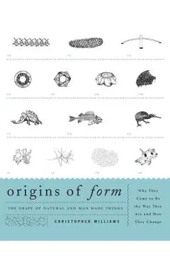 Origins of Form: The Shape of Natural and Man-made Things-Why They Came to Be the Way They Are and How They Change
