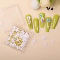 Decor Unghii NailsUp Caviar si Flori Nail Art White