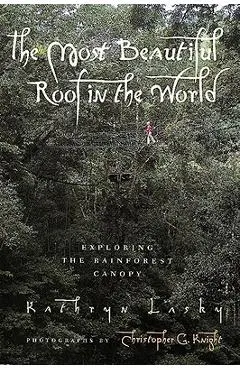 The Most Beautiful Roof in the World: Exploring the Rainforest Canopy
