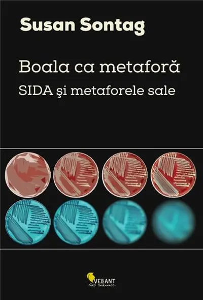 Boala ca metafora