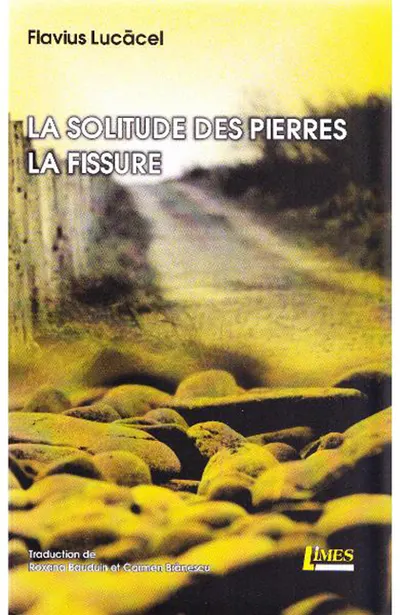 La solitude des pierres. La fissure