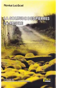 La solitude des pierres. La fissure