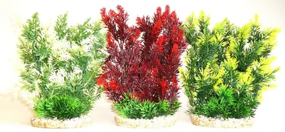 Sydeco Plante Hedge 25cm 708