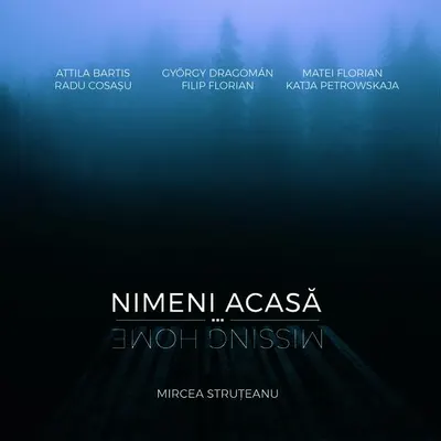 Album Nimeni acasă / Missing Home - Hardcover - Mircea Struțeanu