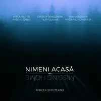 Album Nimeni acasă / Missing Home - Hardcover - Mircea Struțeanu