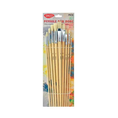 Pensula par porc 10buc/set, nr.1,2,3,5,6,7,8,9,10,12 varf rotund si drept, Daco