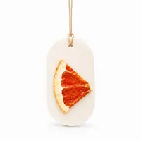 Odorizant pentru dulap din ceară de soia Citrus Bloom - Default Title