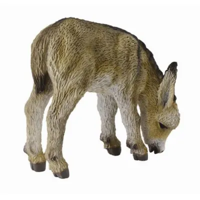 Manz la pascut - Collecta
