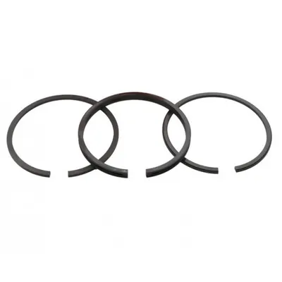 Set Segmenti Piston Briggs- Stratton 65,09mm (2X2X4,75 mm) Caber, Italia