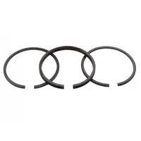 Set Segmenti Piston Briggs- Stratton 65,09mm (2X2X4,75 mm) Caber, Italia