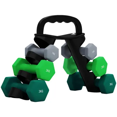 SPORTNOW Set de Gantere, 2x1 kg, 2x2 kg, 2x3 kg, Antrenament Fitness Acasă