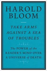 Take Arms Against a Sea of Trouble